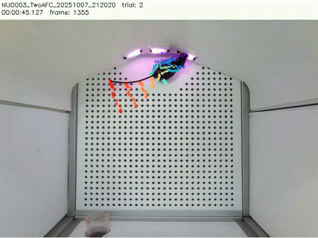 Example behavior tracking data